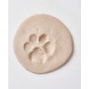 A Dog At The Beach - Activities - 5