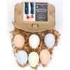Easter Bundle 1: Egg Coloring Kit/Hopscotch Chalk/Bubbles - Activities - 2