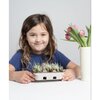 Egg Coloring & Grass Growing Kit - Art Supplies - 3