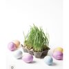 Egg Coloring Kit, 2 Pack - Activities - 3