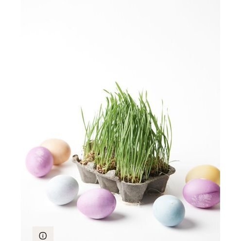 Egg Coloring & Grass Growing Kit - Art Supplies - 4