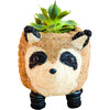 Raccoon Animal Planter, White & Black - Planters - 1 - thumbnail