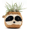 Sloth Animal Planter, Three-Tone - Planters - 1 - thumbnail
