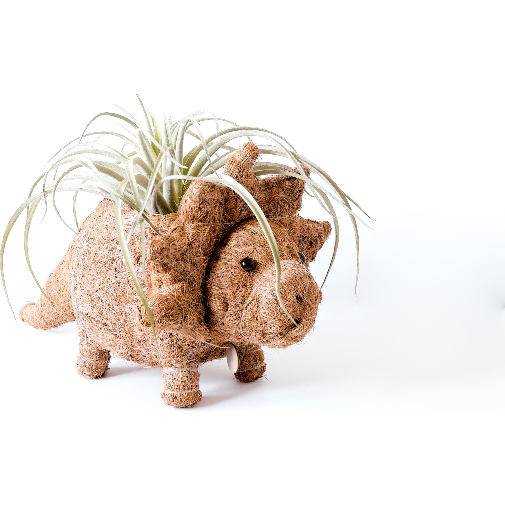 Triceratops Animal Planter, Brown - Planters - 1