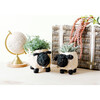 Mama Sheep Animal Planter, White & Black - Planters - 2