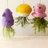 Squid Hanging Planter, Purple - Hanging Planters - 2