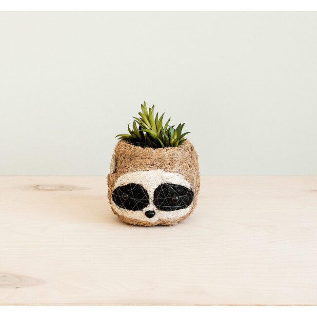 Sloth Animal Planter, Three-Tone - Planters - 3
