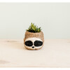 Sloth Animal Planter, Three-Tone - Planters - 3
