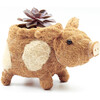 Mama Pig Animal Planter, Brown - Planters - 1 - thumbnail