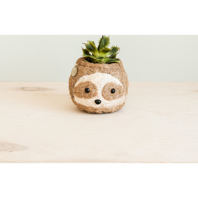 Sloth Animal Planter, Two-Tone - Planters - 3