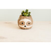 Sloth Animal Planter, Two-Tone - Planters - 3
