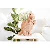 T-Rex Animal Planter, Brown - Planters - 2