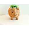 Rhinoceros Animal Planter, Brown - Planters - 3
