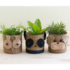 Owl Basket Planter, Natural - Planters - 2