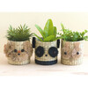 Panda Basket Planter, Natural & Black - Planters - 2