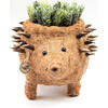 Mama Hedgehog Animal Planter, Brown - Planters - 1 - thumbnail