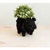 Schnauzer Animal Planter, Black - Planters - 3