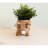 Mama Pig Animal Planter, Brown - Planters - 3