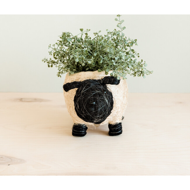 Mama Sheep Animal Planter, White & Black - Planters - 4