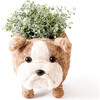 English Bulldog Animal Planter, Brown & White - Planters - 1 - thumbnail