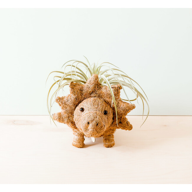 Triceratops Animal Planter, Brown - Planters - 3