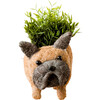 French Bulldog Animal Planter, Brown & Black - Planters - 1 - thumbnail