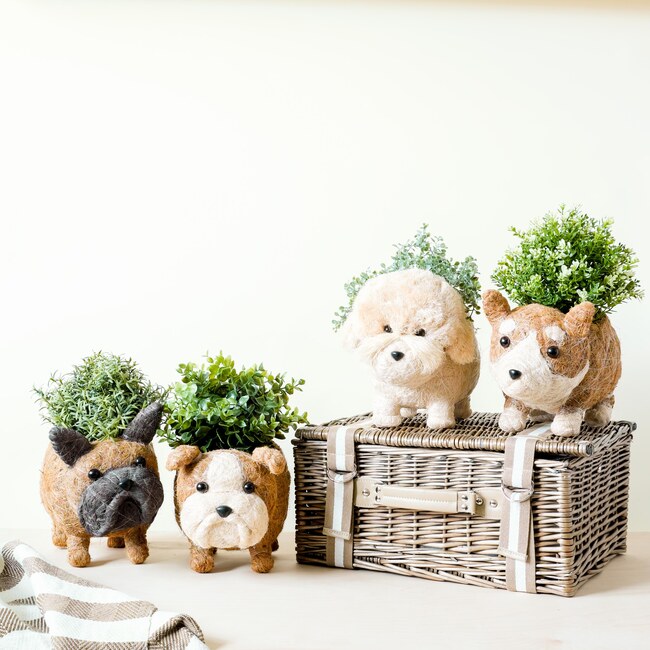 English Bulldog Animal Planter, Brown & White
