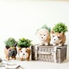 English Bulldog Animal Planter, Brown & White - Planters - 2