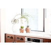 Mama Hedgehog Animal Planter, Brown - Planters - 2
