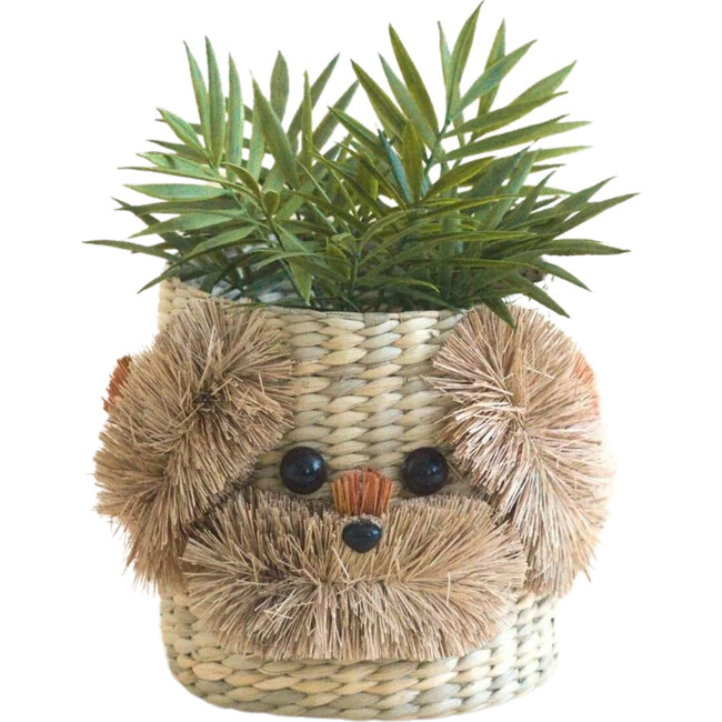 Dog Basket Planter, Natural