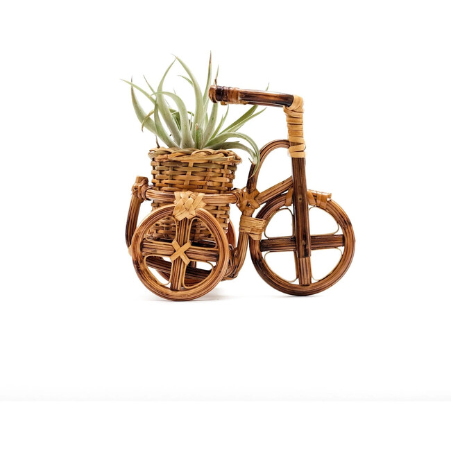 Bicycle Rattan Planter, Natural