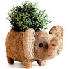 Elephant Animal Planter, Brown - Planters - 1 - thumbnail