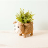 English Bulldog Animal Planter, Brown & White - Planters - 3