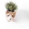 Corgi Animal Planter, Brown - Planters - 1 - thumbnail