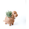 Brontosaurus Animal Planter, Brown - Planters - 1 - thumbnail