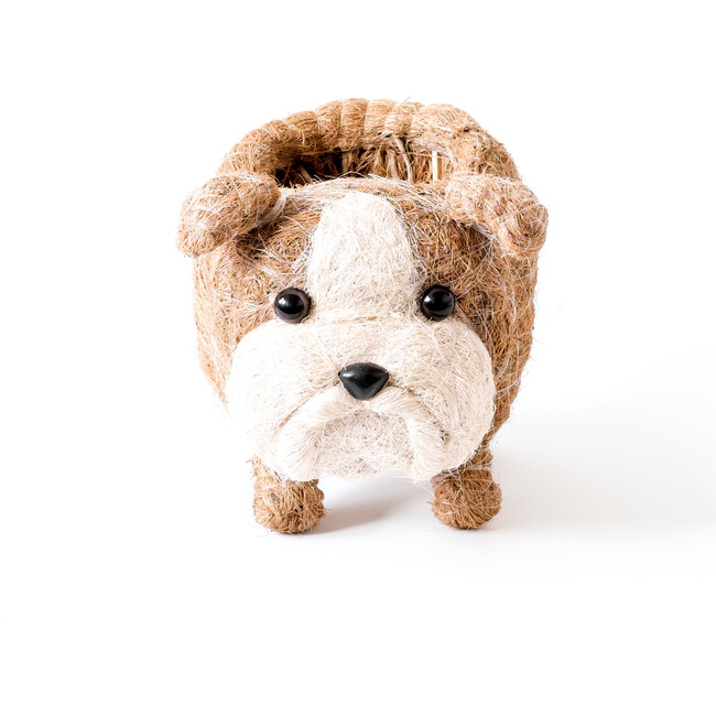 English Bulldog Animal Planter, Brown & White - Planters - 4