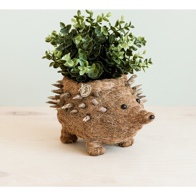 Mama Hedgehog Animal Planter, Brown - Planters - 3