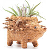 Baby Hedgehog Animal Planter, Brown - Planters - 1 - thumbnail