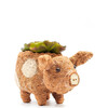 Baby Pig Animal Planter, Brown - Planters - 1 - thumbnail