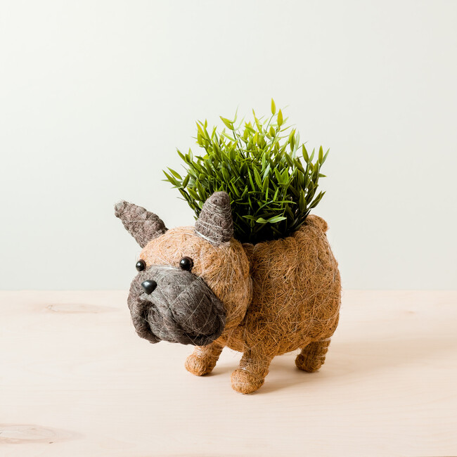 French Bulldog Animal Planter, Brown & Black - Planters - 3