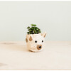 Cat Succulent Planter, White - Planters - 2