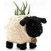 Baby Sheep Animal Planter, White & Black - Planters - 1 - thumbnail