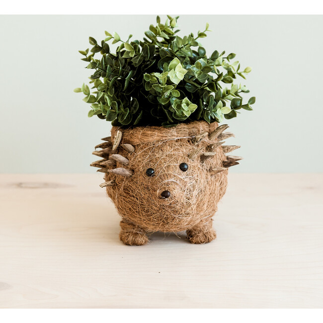 Mama Hedgehog Animal Planter, Brown - Planters - 4