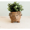Mama Hedgehog Animal Planter, Brown - Planters - 4