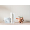 Baby Pig Animal Planter, Brown - Planters - 2