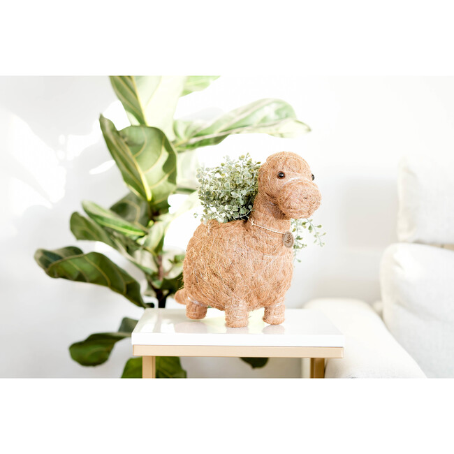 Brontosaurus Animal Planter, Brown - Planters - 2