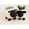 Baby Sheep Animal Planter, White & Black - Planters - 2