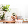 Elephant Animal Planter, Brown - Planters - 2
