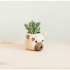 Bear Succulent Planter, White - Planters - 3