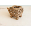Mama Hedgehog Animal Planter, Brown - Planters - 6